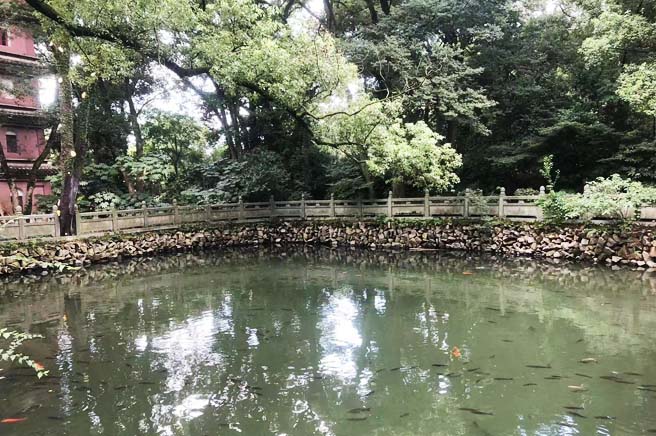 寺院放生池改造设计.jpg